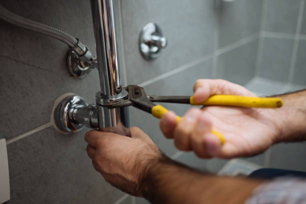 Best Local Plumber Services  in Pleasant Prairie, WI